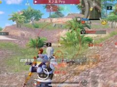 和平精英二级辅助怎么设置（和平精英的二级辅助功能有哪些具体的设置选项？